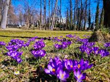 Wielkanoc w Biowitalnym SPA