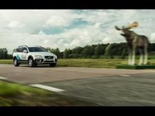 Wykrywanie dużych zwierząt w samochodach Volvo