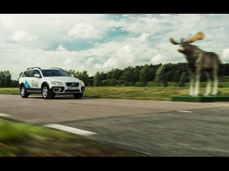 Volvo Animal Detection