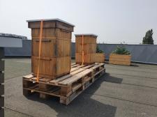 Miód z logo Geberit. Już 8 sierpnia Ogólnopolski Wielki Dzień Pszczół!