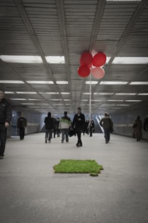 Tworzymy zieloną przestrzeń. I Edycja akcji Cała Polska Chodzi Boso.