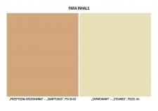 Paleta INHALE - trend kolorystyczny na 2012 od PARA PAINTS