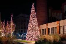 Fuzja gotowa na Święta