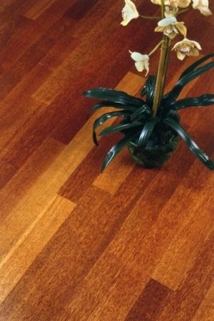 Parkiet lity lakierowany Merbau o grubości 10 mm