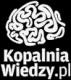 logo: Kopalnia wiedzy