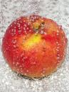 Jabłko