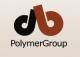 DB POLYMERGROUP