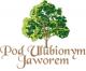 Dom weselny Pod Ulubionym Jaworem - wesela, imprezy, przyjęcia