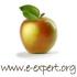 eexpert