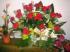 rosa.zywiec